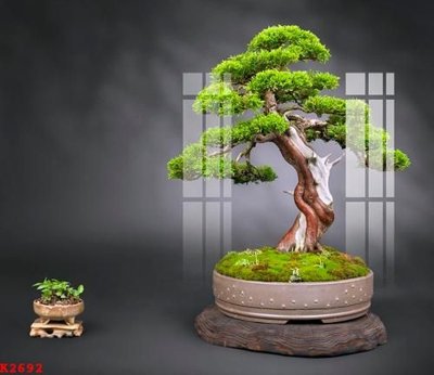 Tải file gốc in lụa File gốc in tranh tổng hợp K2692 siêu nét