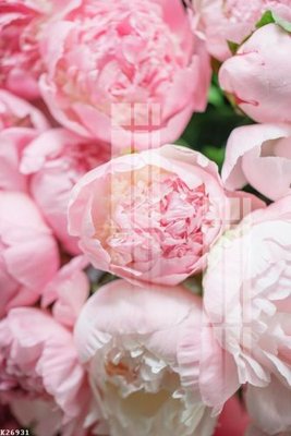 Ảnh gốc File gốc in tranh tổng hợp K26931 (nét căng) in mica