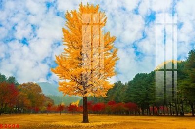 File in lụa File gốc in tranh tổng hợp K2694 (hoa văn) File gốc in tranh tổng hợp K2694