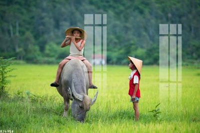 File gốc File gốc in tranh tổng hợp K26954 (phong cách) cổ điển