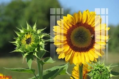 Download file File gốc in tranh tổng hợp K2702 (chuẩn in) File gốc in tranh tổng hợp K2702