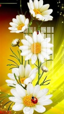 Tải file gốc File gốc in tranh tổng hợp K2727 (bản PSD) chỉnh sửa được