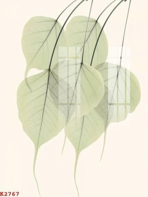 Tải file tranh gốc File gốc in tranh tổng hợp K2767 chất lượng cao