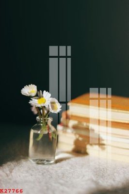 File in trần File gốc in tranh tổng hợp K27766 (bản gốc) 5D