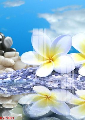 File tranh File gốc in tranh tổng hợp K27803 (ảnh gốc) in trần xuyên sáng