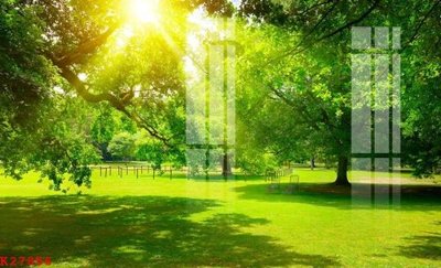 Tải file PSD File gốc in tranh tổng hợp K27856 (nguyên layer) để in