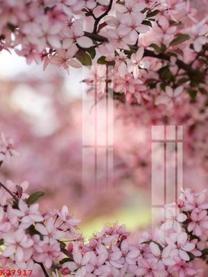 File in mica File gốc in tranh tổng hợp K27917 (ảnh gốc) đẹp