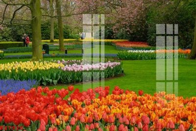 Tải file File gốc in tranh tổng hợp K27920 (ảnh gốc) in tráng gương