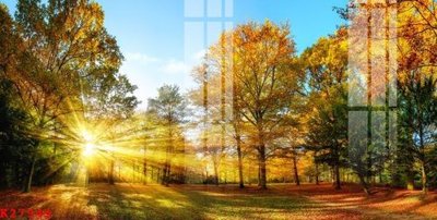 File in trần File gốc in tranh tổng hợp K27945 (bản gốc) bầu trời