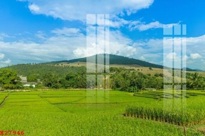 File gốc File gốc in tranh tổng hợp K27946 (cho in ấn) từ kho Filetranh