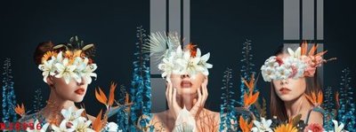 File gốc File gốc in tranh tổng hợp K28056 (ảnh chi tiết) để in trần