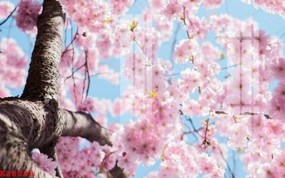 File gốc File gốc in tranh tổng hợp K28088 (in ấn) màu sắc trung thực