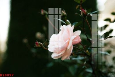 File in lụa File gốc in tranh tổng hợp K28097 (tân cổ điển) File gốc in tranh tổng hợp K28097