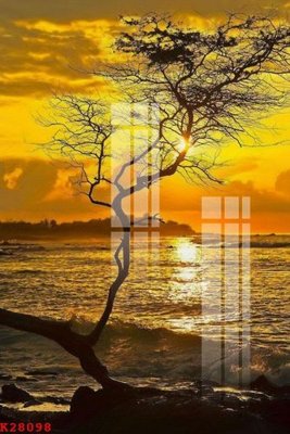 File gốc File gốc in tranh tổng hợp K28098 (PNG) nền trong suốt