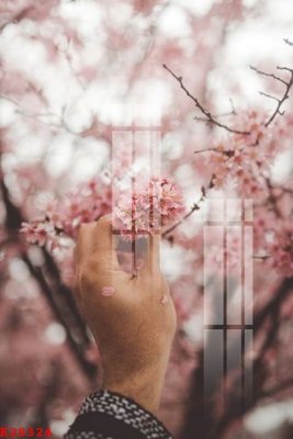 File gốc File gốc in tranh tổng hợp K28324 (chuẩn CMYK) cho nhà in