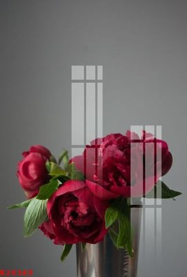 File tranh File gốc in tranh tổng hợp K28369 (gốc) chủ đề động vật