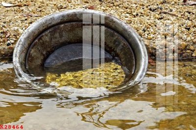 File tranh File gốc in tranh tổng hợp K28464 (gốc) in film