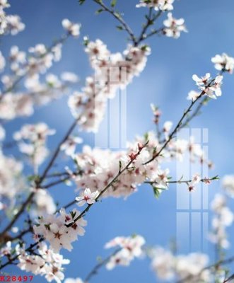 File in ấn File gốc in tranh tổng hợp K28497 (bản gốc) chất lượng cao