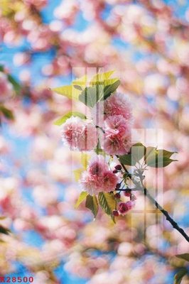 File tranh gốc File gốc in tranh tổng hợp K28500 chủ đề hiện đại