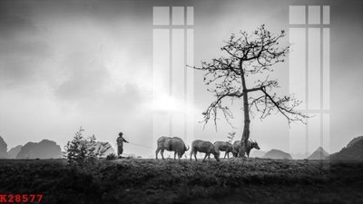 File ảnh File gốc in tranh tổng hợp K28577 (gốc) in PP, decal