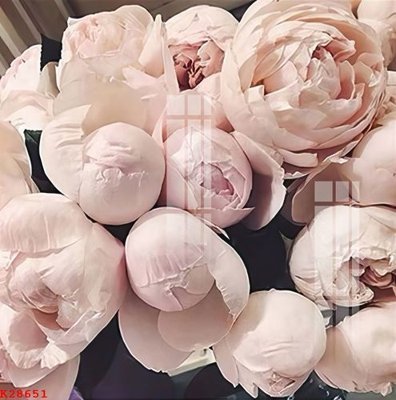 Tải file File gốc in tranh tổng hợp K28651 (gốc) in ấn chất lượng