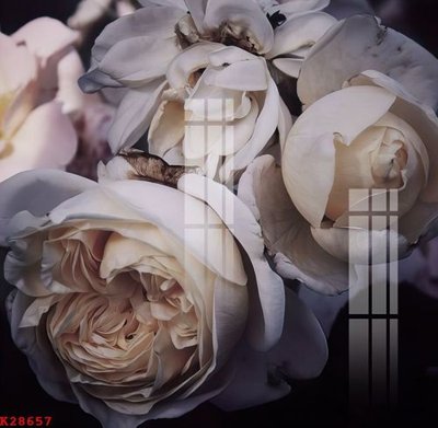 File gốc File gốc in tranh tổng hợp K28657 (in lụa) họa tiết 3D