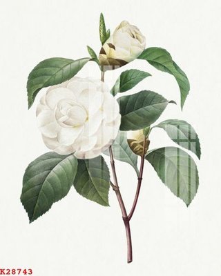 File tranh File gốc in tranh tổng hợp K28743 (gốc) chủ đề con người