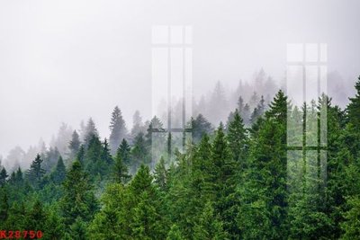 Cung cấp file tranh gốc File gốc in tranh tổng hợp K28750 độc quyền