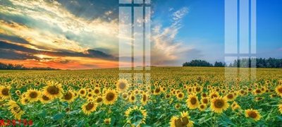 Tải xuống file tranh gốc File gốc in tranh tổng hợp K28756 (PSD/TIFF)