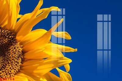 Tải file gốc File gốc in tranh tổng hợp K28764 (in tráng gương) siêu đẹpFile tranh gốc File gốc in tranh tổng hợp K28764 chất lượng cao