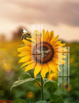 File gốc File gốc in tranh tổng hợp K28776 (chuẩn CMYK) cho nhà in