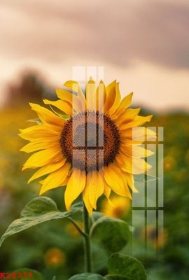 File tranh File gốc in tranh tổng hợp K28777 (file gốc) chủ đề phong thủy