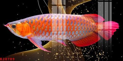 Tải file gốc File gốc in tranh tổng hợp K28789 (bản PSD) đầy đủ layer