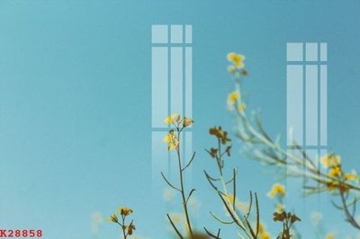 File tranh File gốc in tranh tổng hợp K28858 (gốc) in vải canvas