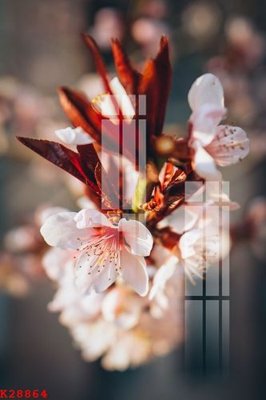 Tệp tin gốc File gốc in tranh tổng hợp K28864 (dùng cho in) File gốc in tranh tổng hợp K28864