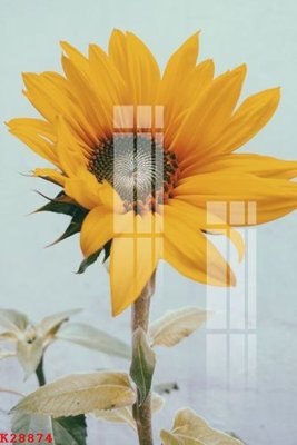 Tải về file gốc File gốc in tranh tổng hợp K28874 (dùng cho in quảng cáo)