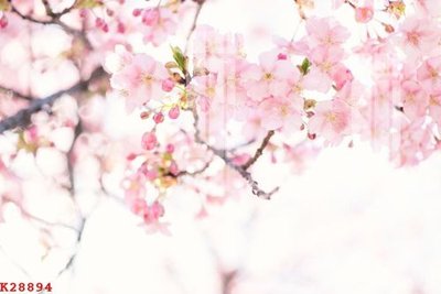 File tranh gốc File gốc in tranh tổng hợp K28894 (bản quyền) Filetranh.com