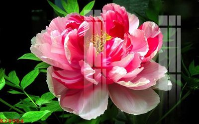 File tranh gốc in trần nhà File gốc in tranh tổng hợp K28904 3D