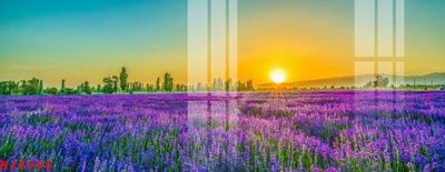 File in trần File gốc in tranh tổng hợp K28996 (bản gốc) mây trời