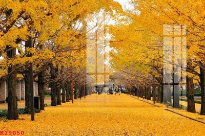 Download file File gốc in tranh tổng hợp K29050 (gốc) in mica cao cấp