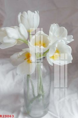 File in lụa File gốc in tranh tổng hợp K29063 (hoa văn) File gốc in tranh tổng hợp K29063