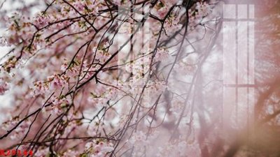 Download file File gốc in tranh tổng hợp K29144 (gốc) in mica ốp bếp