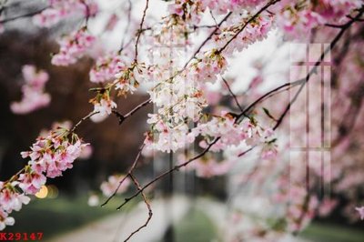 Tải về file gốc File gốc in tranh tổng hợp K29147 (chuẩn in ấn)