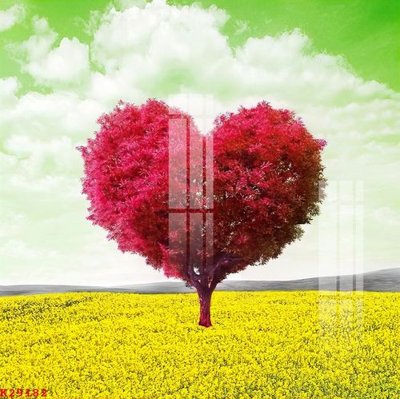 File tranh File gốc in tranh tổng hợp K29182 (bản gốc) in canvas