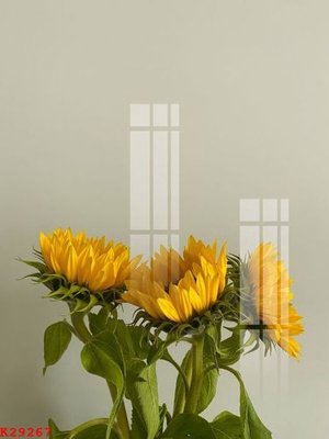 Download file File gốc in tranh tổng hợp K29267 (gốc) cho xưởng in