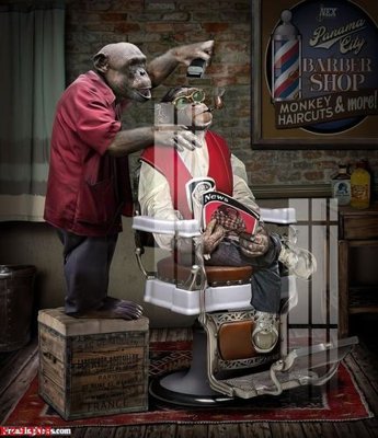 Tải file gốc File gốc in tranh tổng hợp K29308 dùng cho in ấn