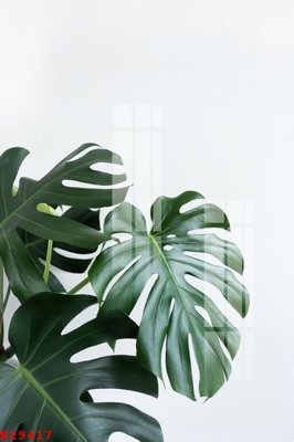 File tranh File gốc in tranh tổng hợp K29417 (bản gốc) treo tường