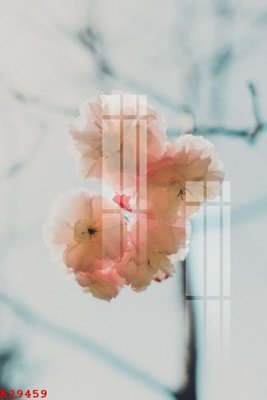 File tranh gốc File gốc in tranh tổng hợp K29459 chủ đề hiện đại