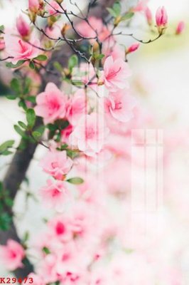 File gốc File gốc in tranh tổng hợp K29473 (trang trí) cho phòng khách