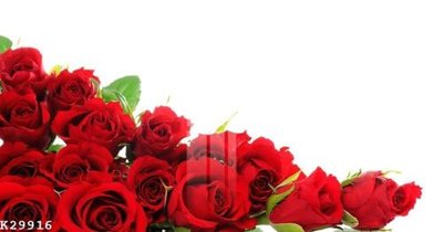 Cung cấp file tranh gốc File gốc in tranh tổng hợp K29916 độc quyền